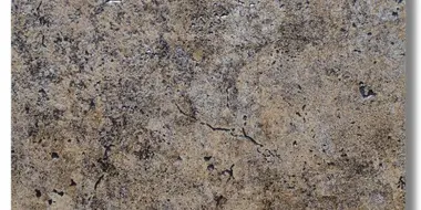 Exagres Metalica PURPLE